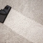 vacuuming tips for Washington DC hardwood floors and area rugs