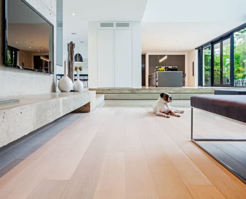 Living room, hardwood floors, dog