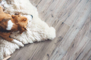 pet friendly hardwood
