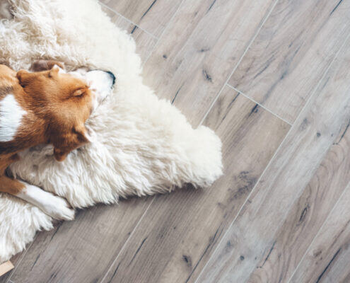 pet friendly hardwood