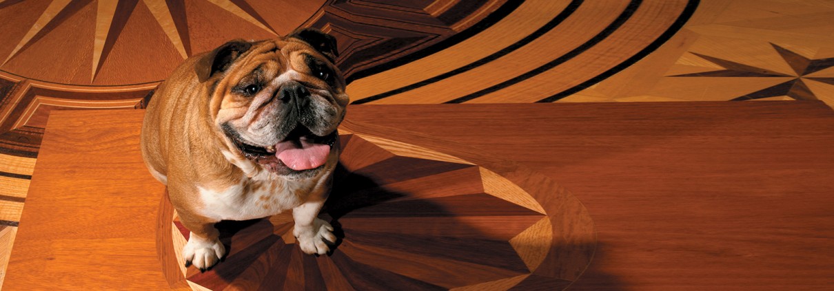 hardwood floor mistakes to avoid for long-lasting wood floors